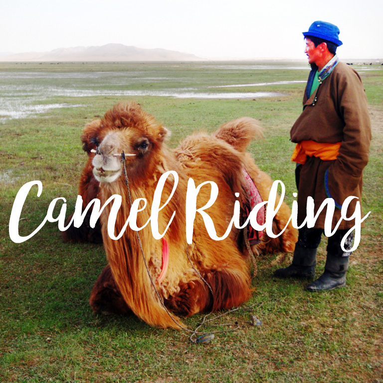 camel_safari_title