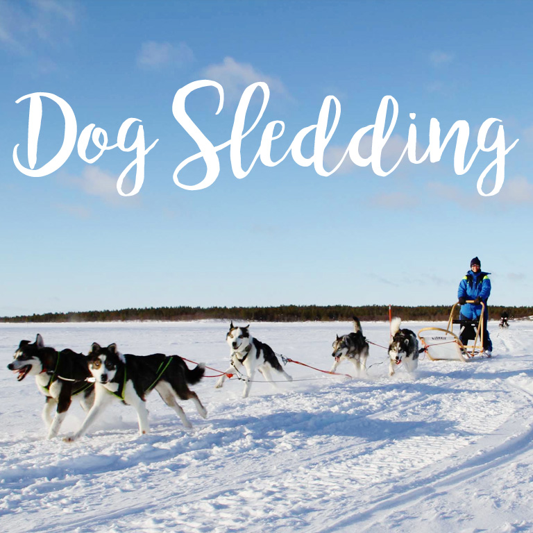 dog_sledding_title