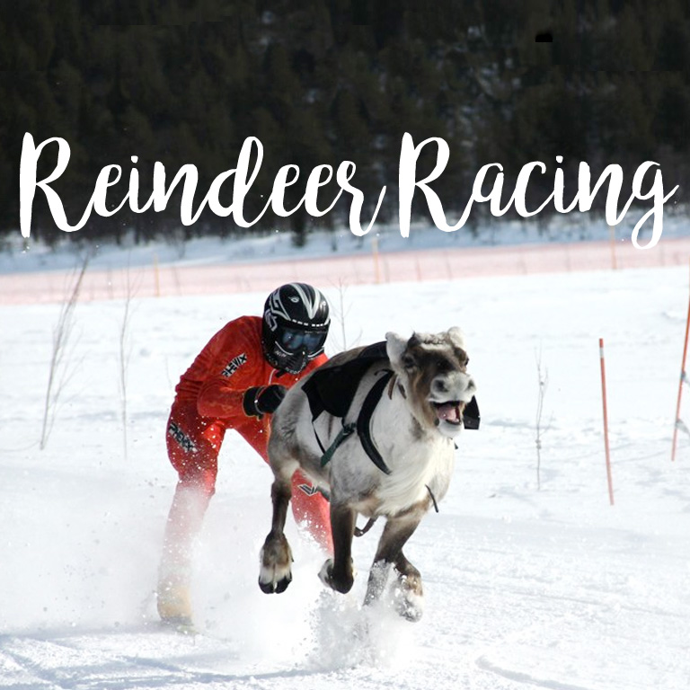 reindeer_racing