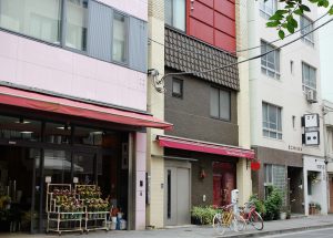 A pretty Tokyo street scene