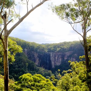 view of minyon falls from the lookout