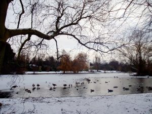 frozen lake in regents park