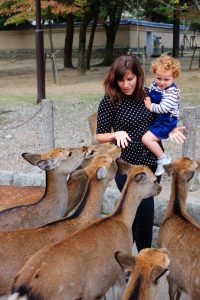 Feeding the deer in Nara, Japan