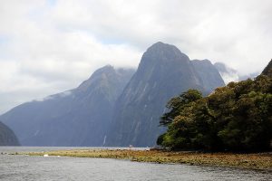 Cruising Milford Sound, New Zealand