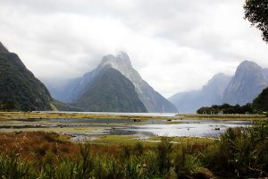 View from the Milford Sound Foreshore Walk, New Zealand