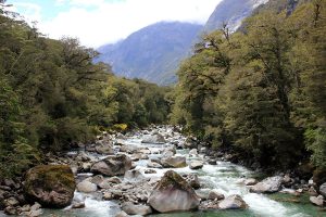 White water river view on the way to Milford Sound, New Zealand
