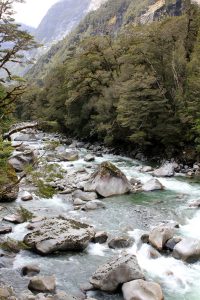 White water river on the way to Milford Sound, Fiordland, New Zealand