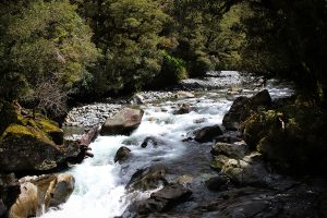 Waterfall on the drive to Milford Sound, New Zealand