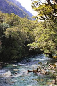 River view on the road to Milford Sound, New Zealand