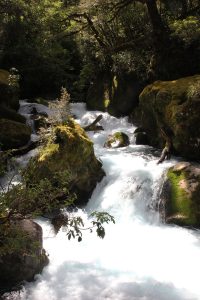 Waterfall view on the Chasm Walk, Fiordland, New Zealand