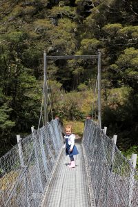 Crossing the wobbly bridge on the Marian Falls Trek, Milford Sound