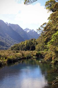 Mirror Lakes on the way to Milford Sound