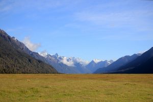 The Gibston Valley on the way to Milford Sound
